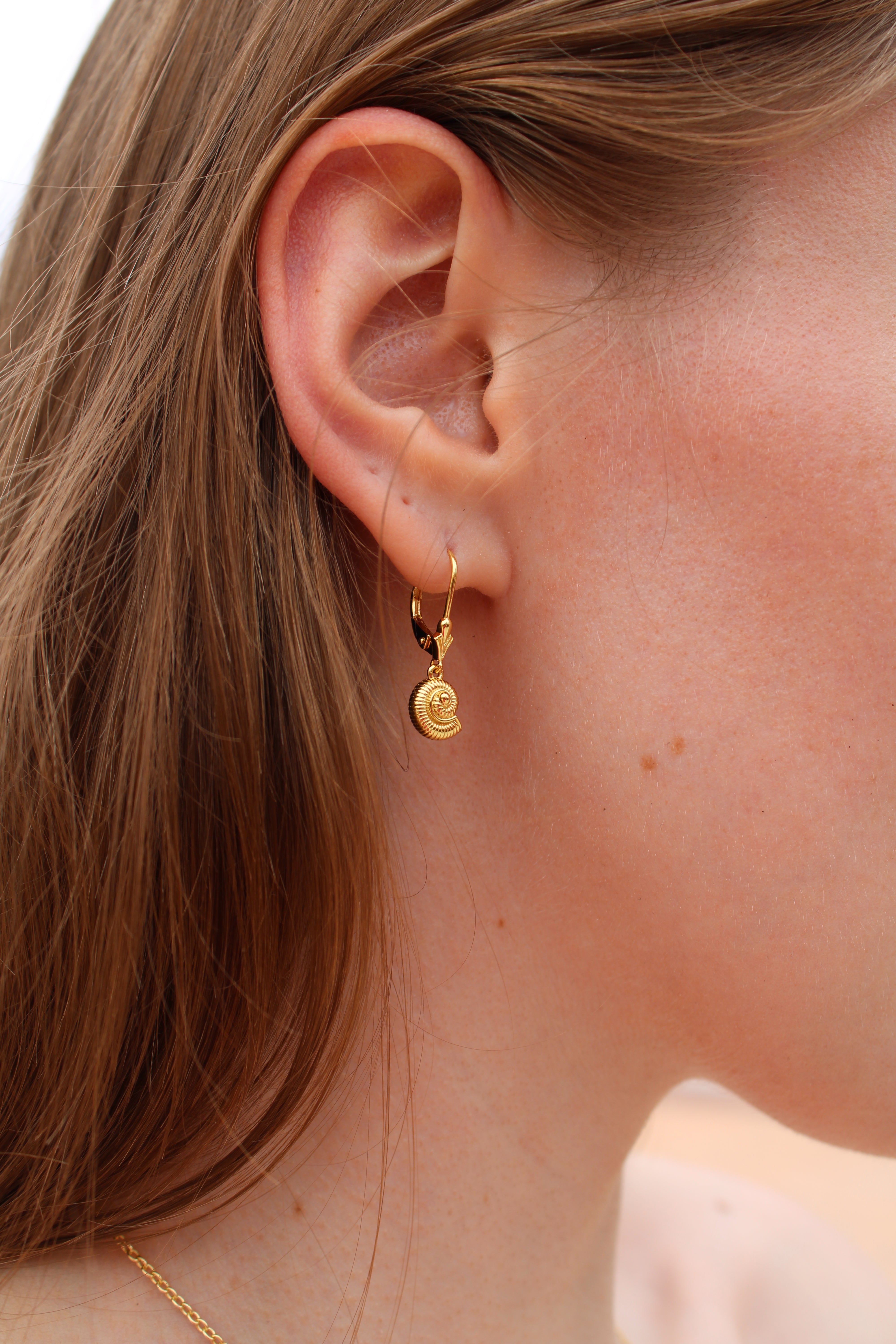 Spiral Seashell Earrings