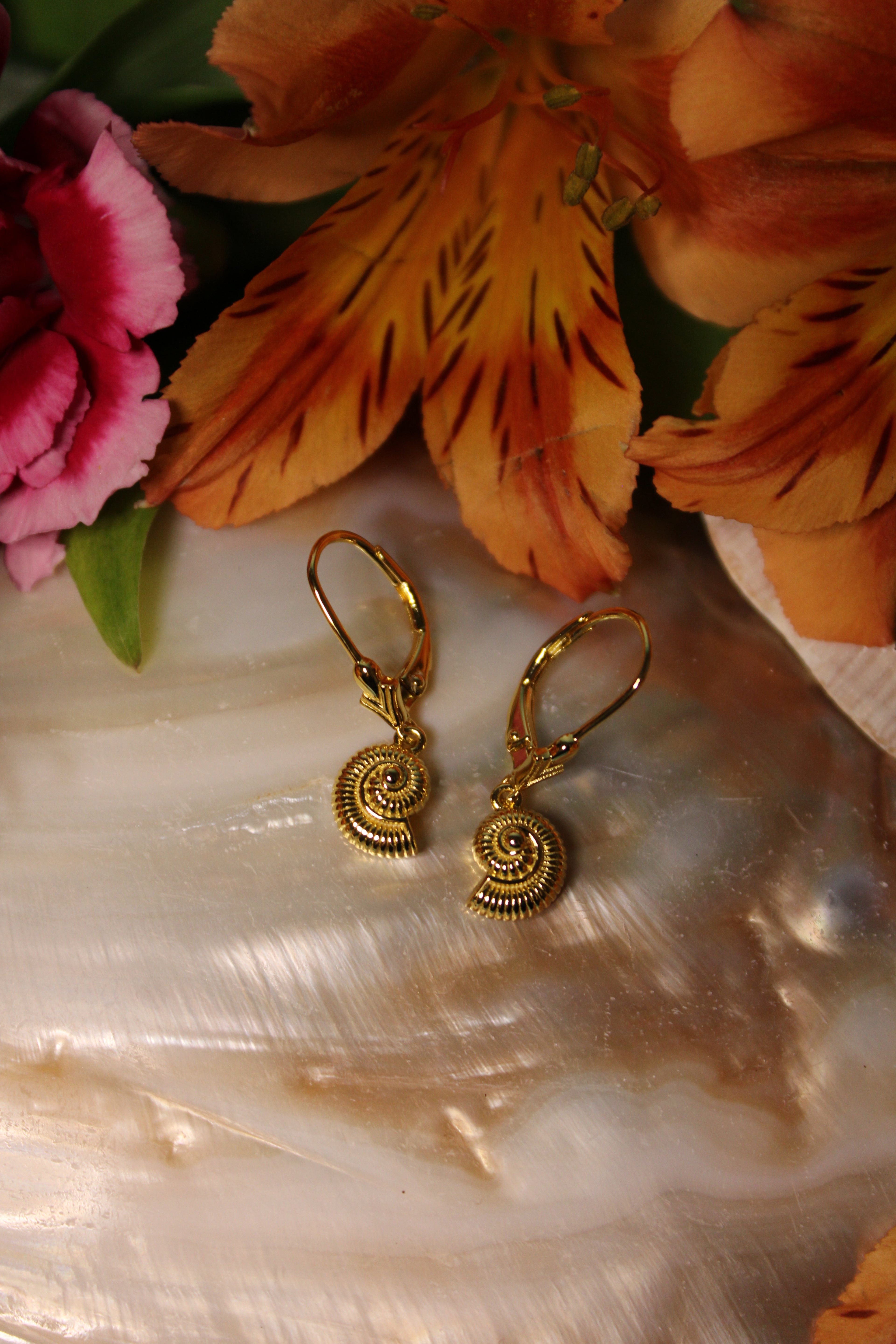 Spiral Seashell Earrings